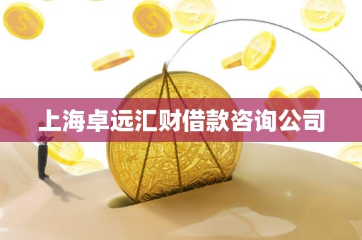 上海卓远汇财借款咨询公司