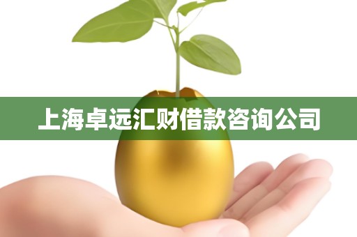 上海卓远汇财借款咨询公司