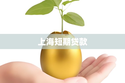 上海短期贷款
