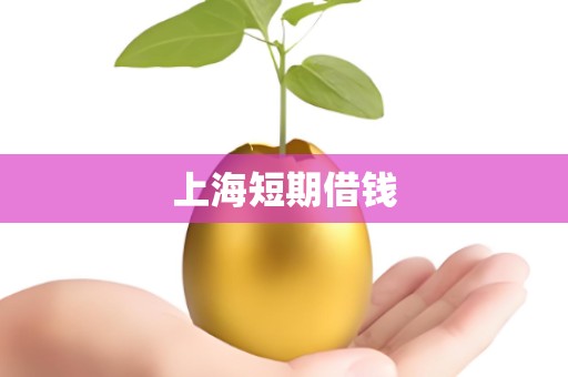 上海短期借钱