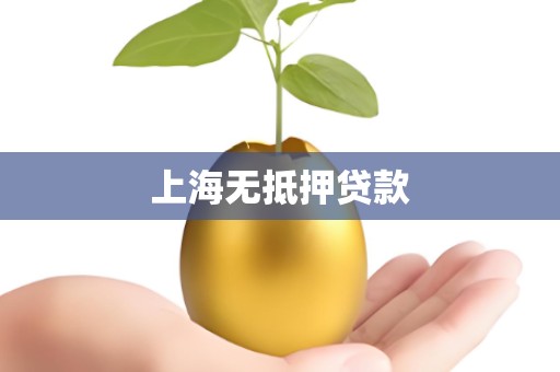 上海无抵押贷款
