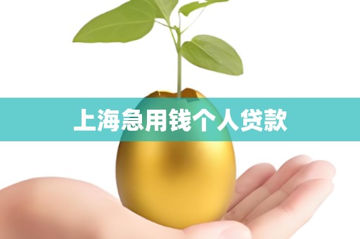 上海急用钱个人贷款