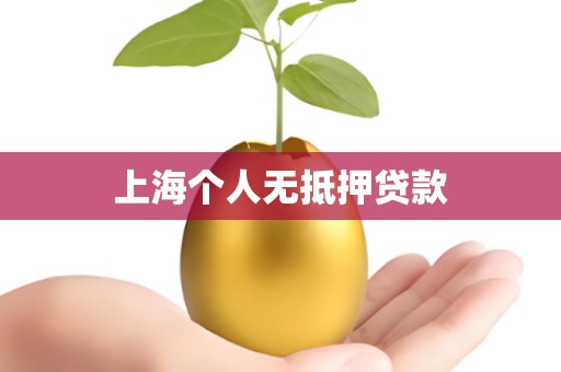 上海个人无抵押贷款