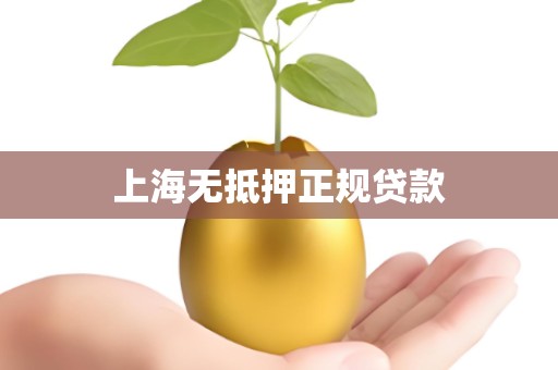 上海无抵押正规贷款