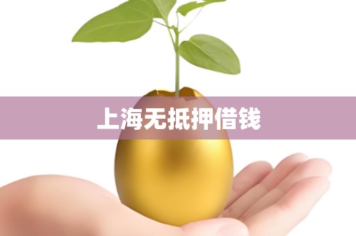 上海无抵押借钱