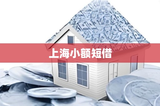 上海小额短借